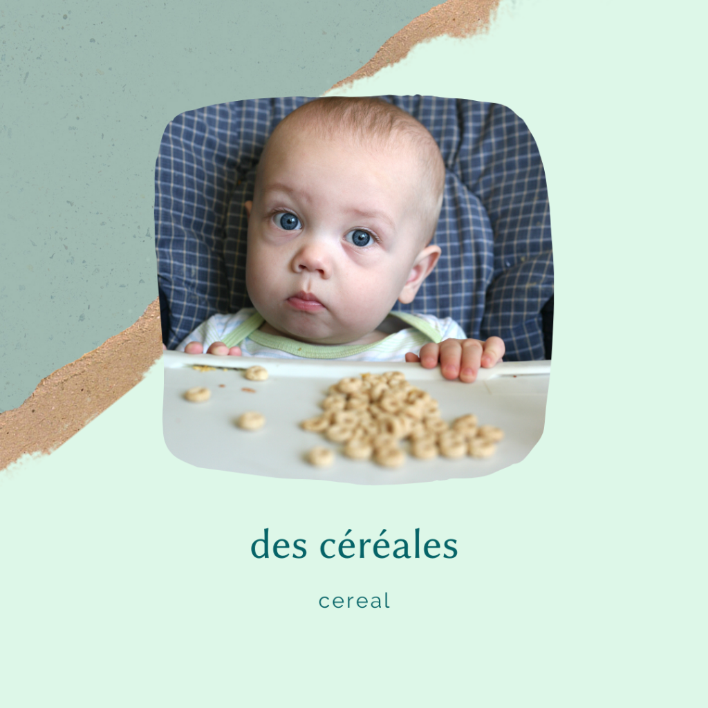 french food vocabulary - pureed cereal