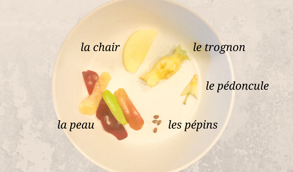 parts of an apple in french