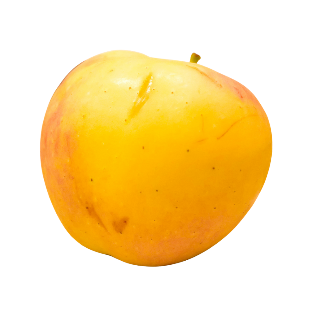 yellow apple in french