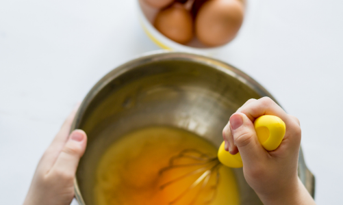 French for children: learning about eggs in French